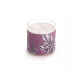 Vela Bajo la Higuera - FRAGANCIA DE HIGUERA