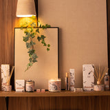 Ambientador Spray Mis Momentos (100ML) - FRAGANCIA DE ALMIZCLE Y SÉSAMO