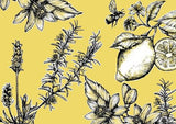 ilustraciones Raul del Sol Al Pie del Limonero