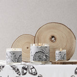 Vela Junto a la Hoguera - FRAGANCIA AMADERADA