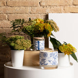 Vela Camelia - FRAGANCIA FLORAL ESPECIADA